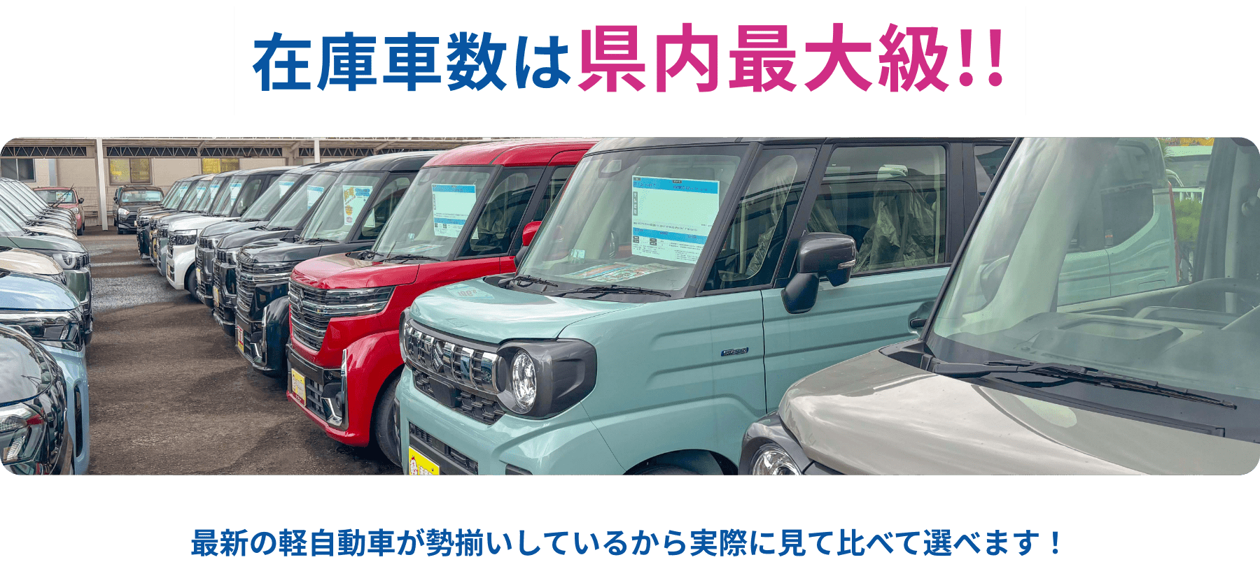 在庫車数は県内最大級！最新の軽自動車が勢揃いしているから実際に見て比べて選べます！